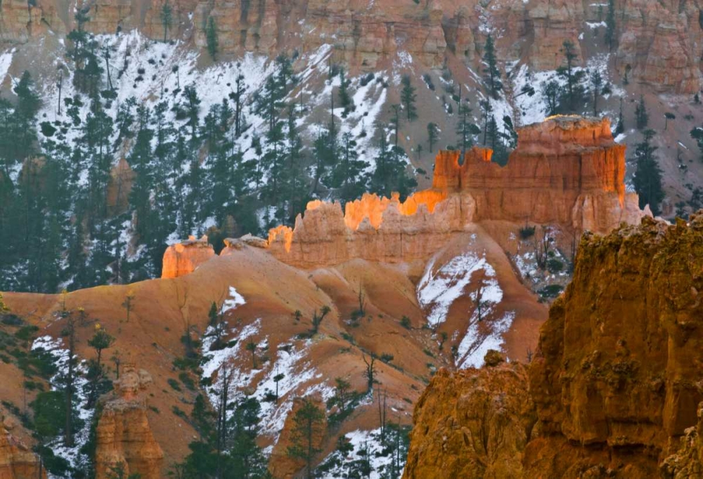 UT, Bryce Canyon Hoodoo formations and evergreen art print by Nancy Rotenberg for $57.95 CAD